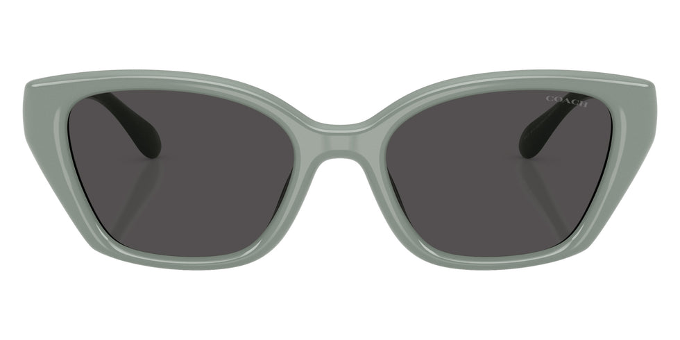 Coach HC8434U CBY91 592487 53 - Industrial Gray / Gray Solid #id:hc8434u592487_s:110100