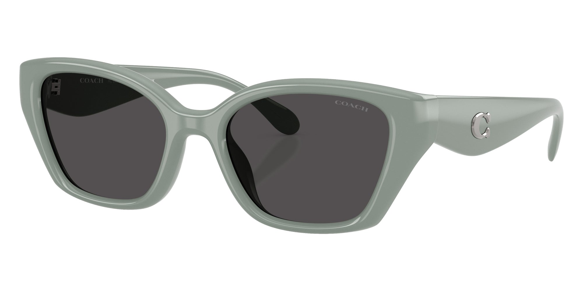 Coach HC8434U CBY91 592487 53 - Industrial Gray / Gray Solid #id:hc8434u592487_s:110105