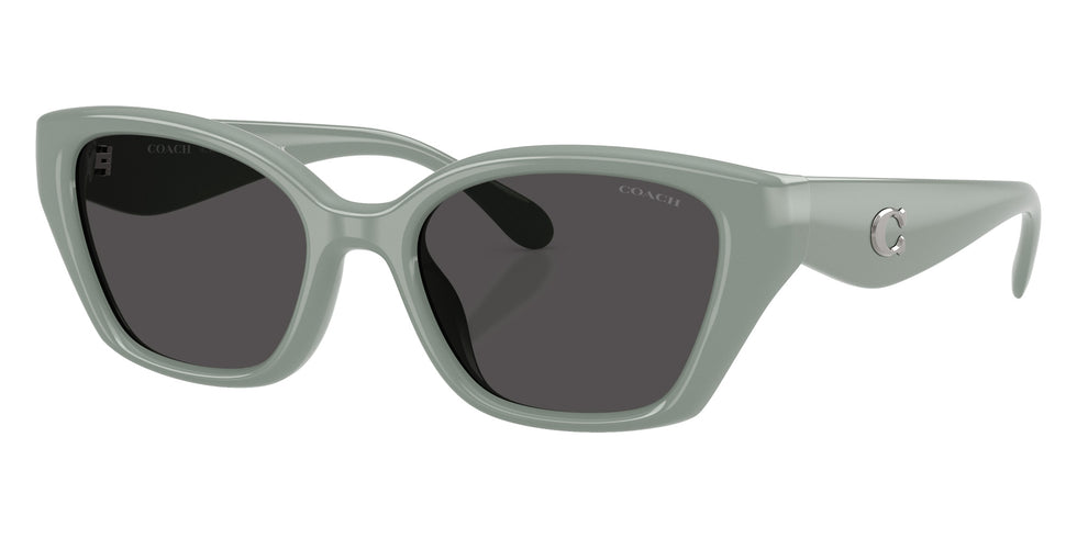 Coach HC8434U CBY91 592487 53 - Industrial Gray / Gray Solid #id:hc8434u592487_s:110105