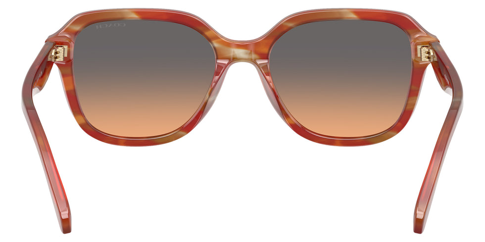 Coach HC8437U CBY87 590018 53 - Striated Chestnut / Smokey Peach Gradient #id:hc8437u590018_s:106115