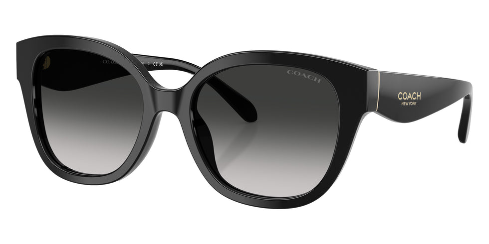 Coach HC8438U CBY94 500287 56 - Black / Gray Gradient #id:hc8438u500287_s:100105