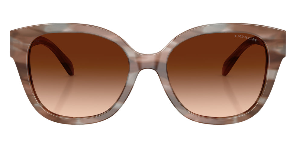 Coach HC8438U CBY94 590174 56 - Striated Redwood/Maple / Brown Gradient #id:hc8438u590174_s:108100