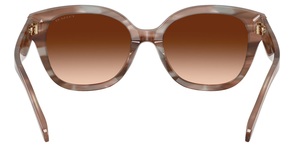 Coach HC8438U CBY94 590174 56 - Striated Redwood/Maple / Brown Gradient #id:hc8438u590174_s:108115