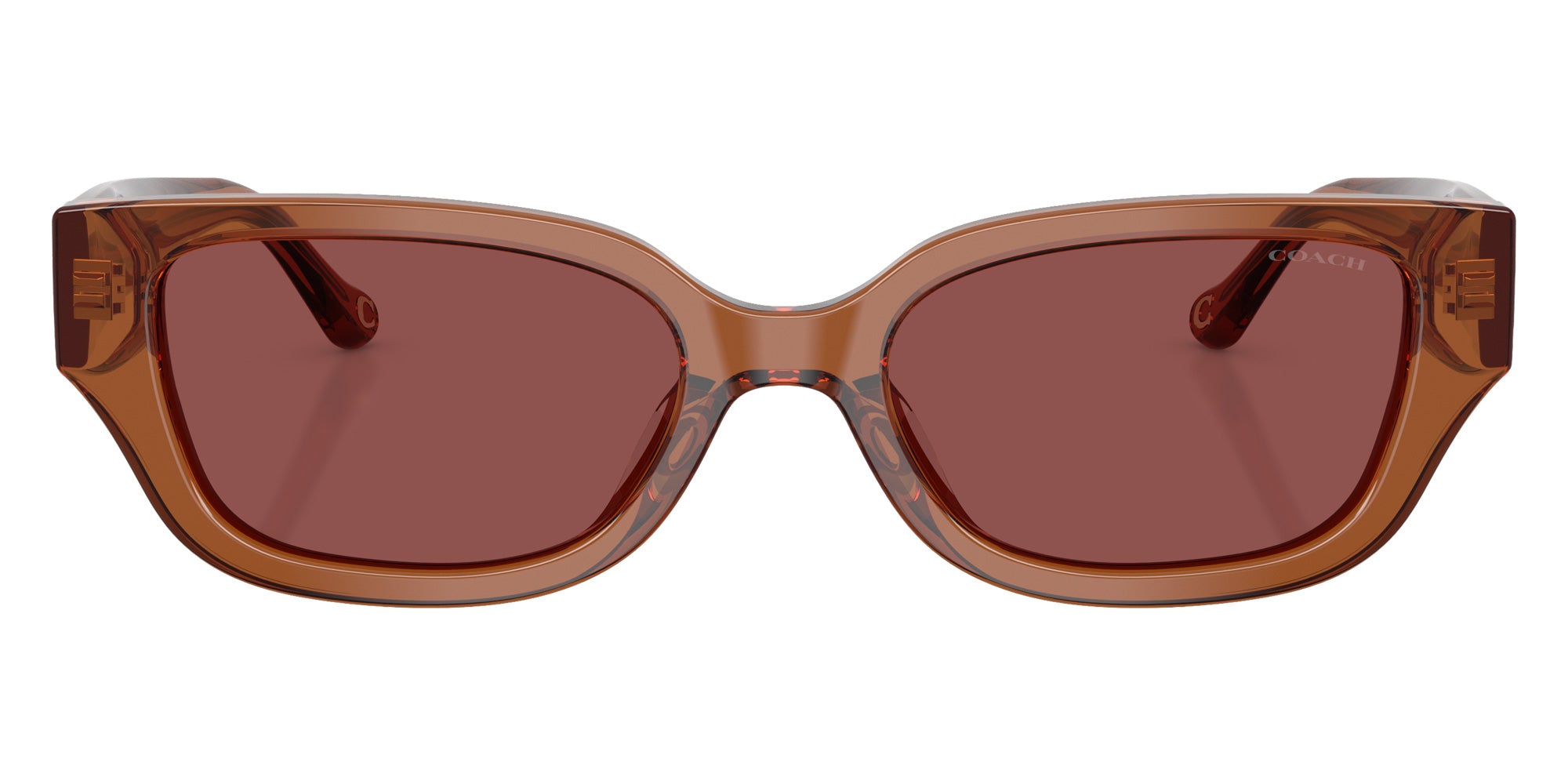 Coach HC8439U CBZ52 581175 53 - Transparent Brown / Wine Solid #id:hc8439u581175_s:102100