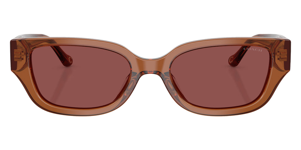 Coach HC8439U CBZ52 581175 53 - Transparent Brown / Wine Solid #id:hc8439u581175_s:102100