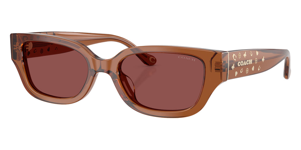 Coach HC8439U CBZ52 581175 53 - Transparent Brown / Wine Solid #id:hc8439u581175_s:102105