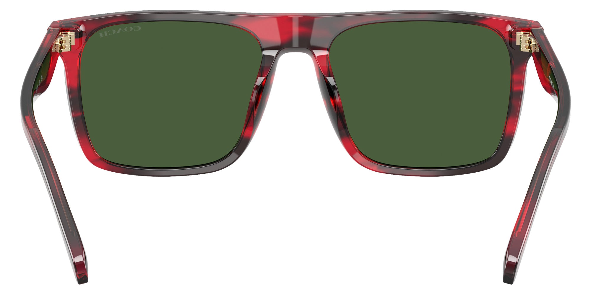 Coach HC8440U CBY95 590871 57 - Striated Cherry Oak / Green Solid #id:hc8440u590871_s:106115
