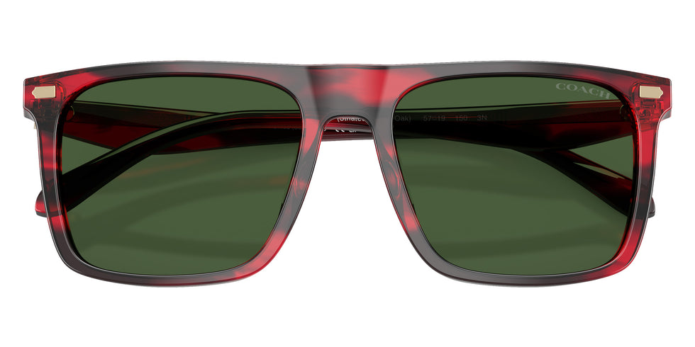 Coach HC8440U CBY95 590871 57 - Striated Cherry Oak / Green Solid #id:hc8440u590871_s:106120