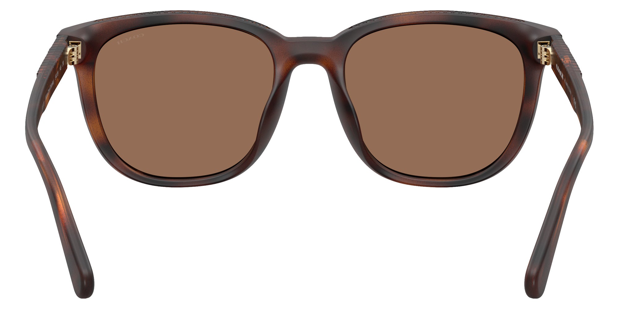 Coach HC8442U CCA00 512073 54 - Matte Dark Tortoise / Brown Solid #id:hc8442u512073_s:106115