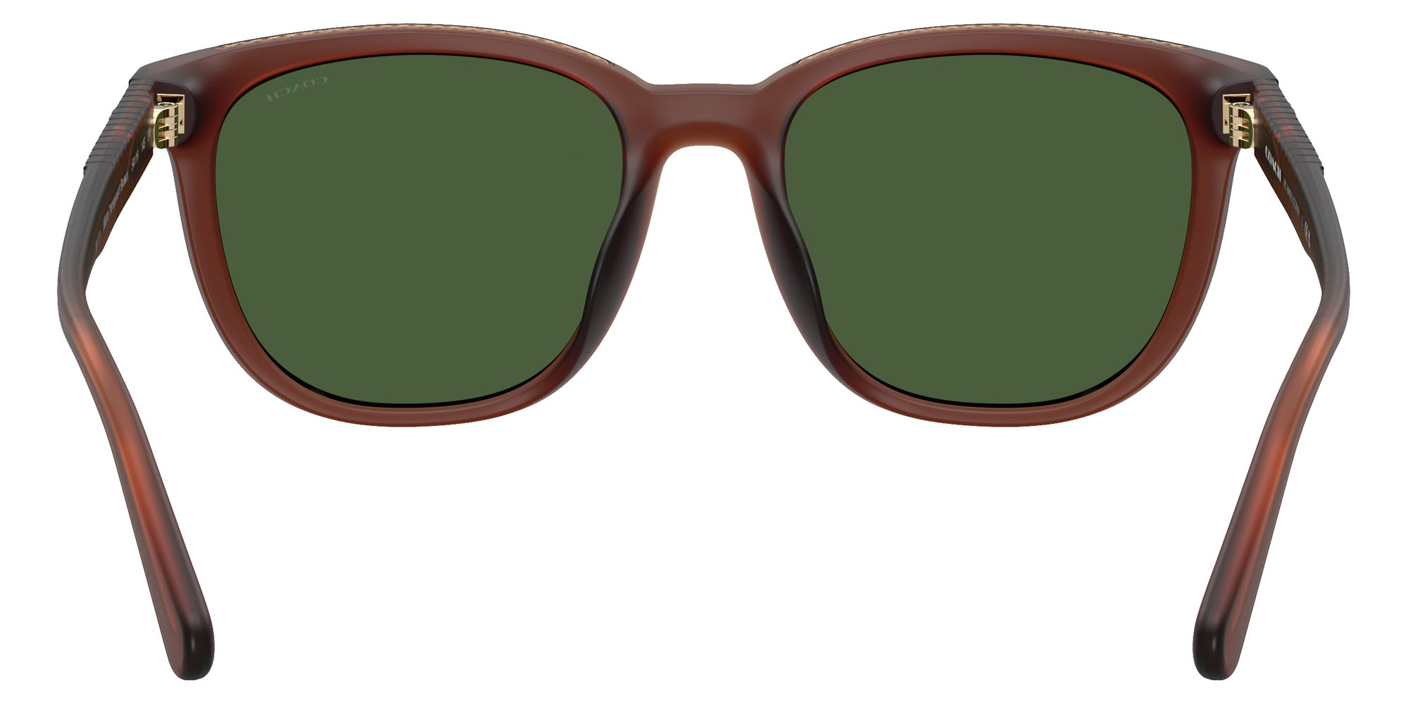 Coach HC8442U CCA00 591171 54 - Matte Transparent Brown / Green Solid #id:hc8442u591171_s:108115
