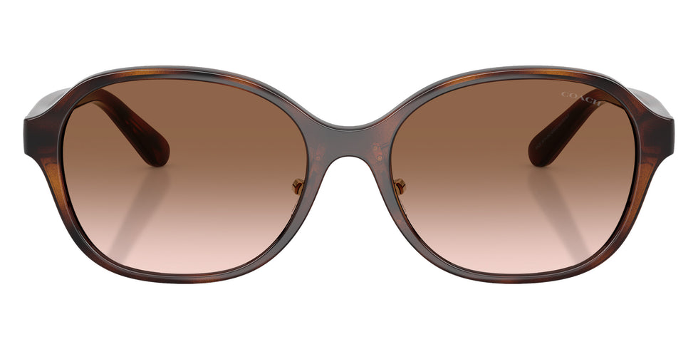 Coach HC8445D CBY85 512013 56 - Dark Tortoise / Brown Gradient #id:hc8445d512013_s:102100