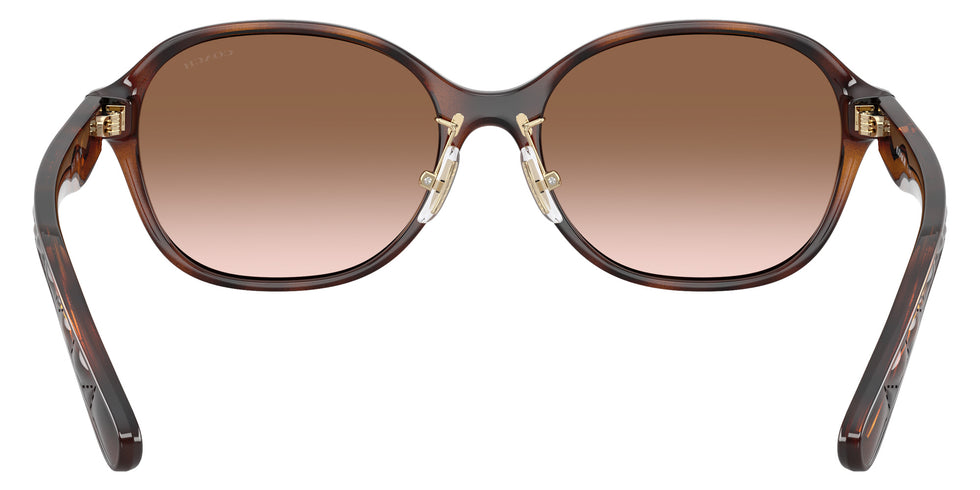 Coach HC8445D CBY85 512013 56 - Dark Tortoise / Brown Gradient #id:hc8445d512013_s:102115