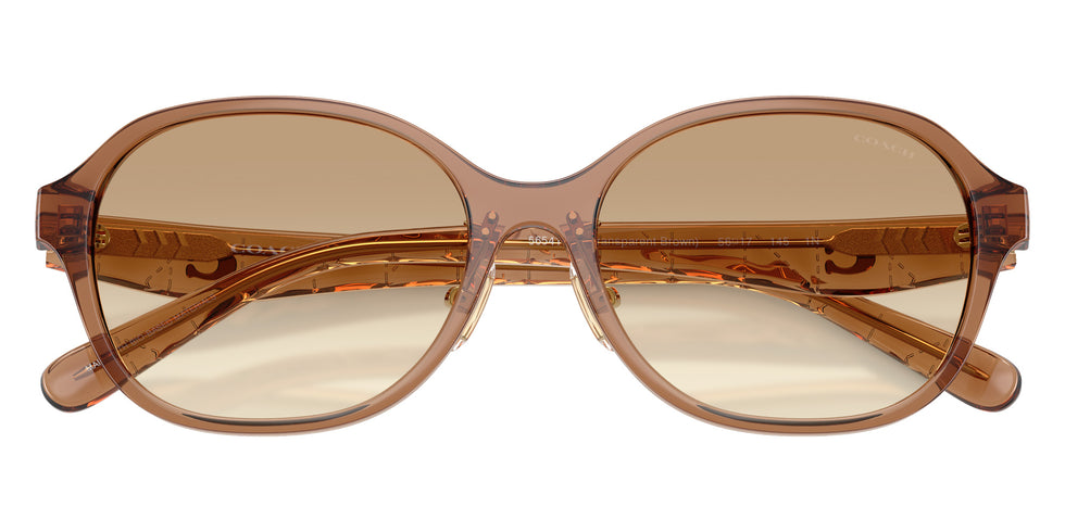 Coach HC8445D CBY85 565413 56 - Transparent Brown / Clear Brown #id:hc8445d565413_s:104120