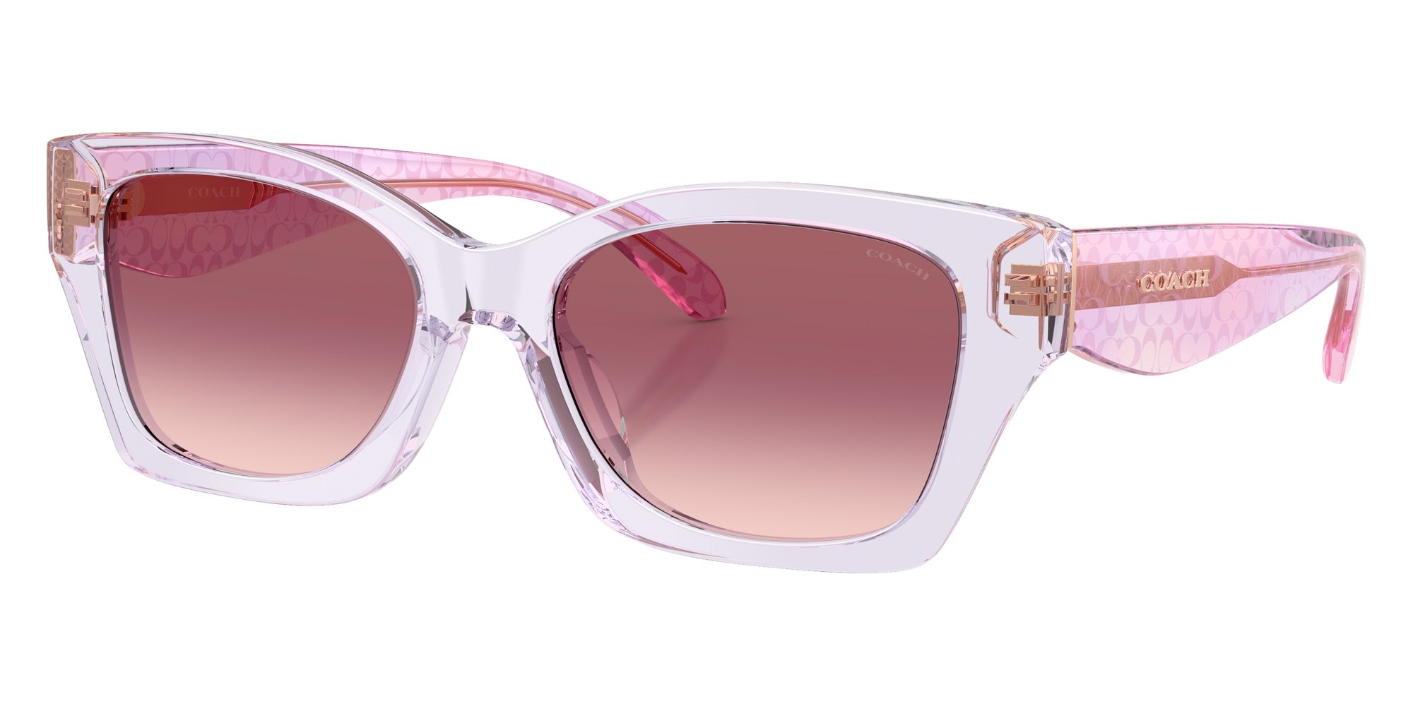 Coach HC8451U CDP49 59367W 54 - Transparent Iris #id:hc8451u59367w_s:104105