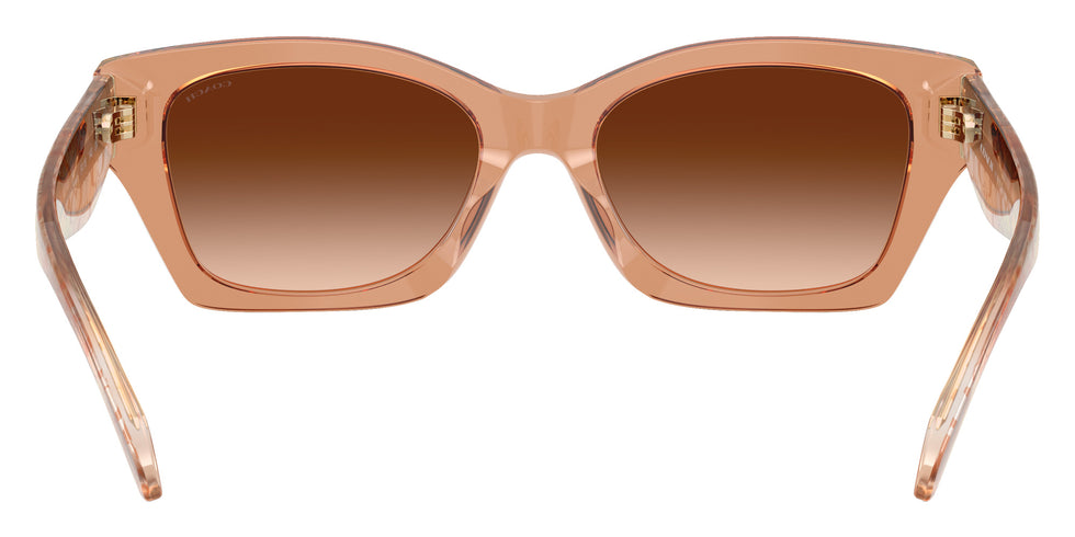 Coach HC8451U CDP49 593774 54 - Transparent Brown #id:hc8451u593774_s:106115