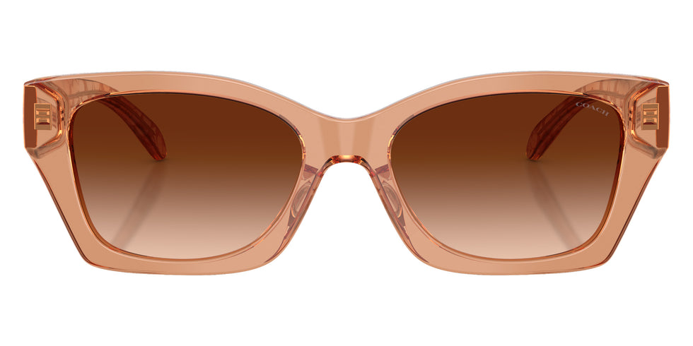 Coach HC8451U CDP49 593774 54 - Transparent Brown #id:hc8451u593774_s:106120