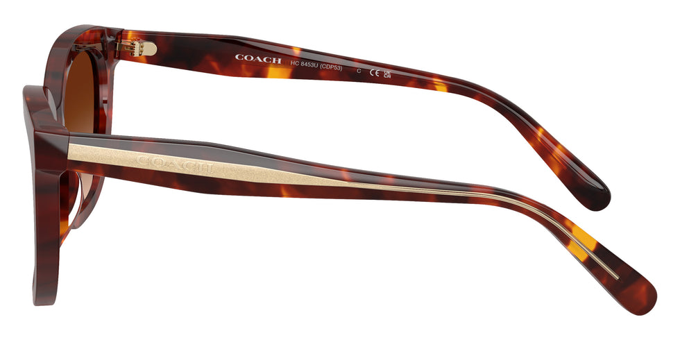 Coach HC8453U CDP53 593874 56 - Walnut Tortoise #id:hc8453u593874_s:102110