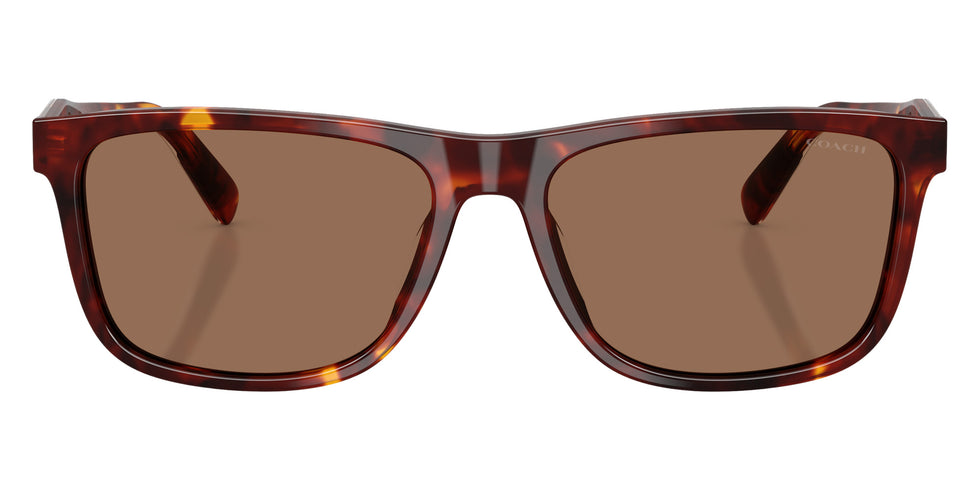 Coach HC8454U CDP55 593813 59 - Walnut Tortoise #id:hc8454u593813_s:104120