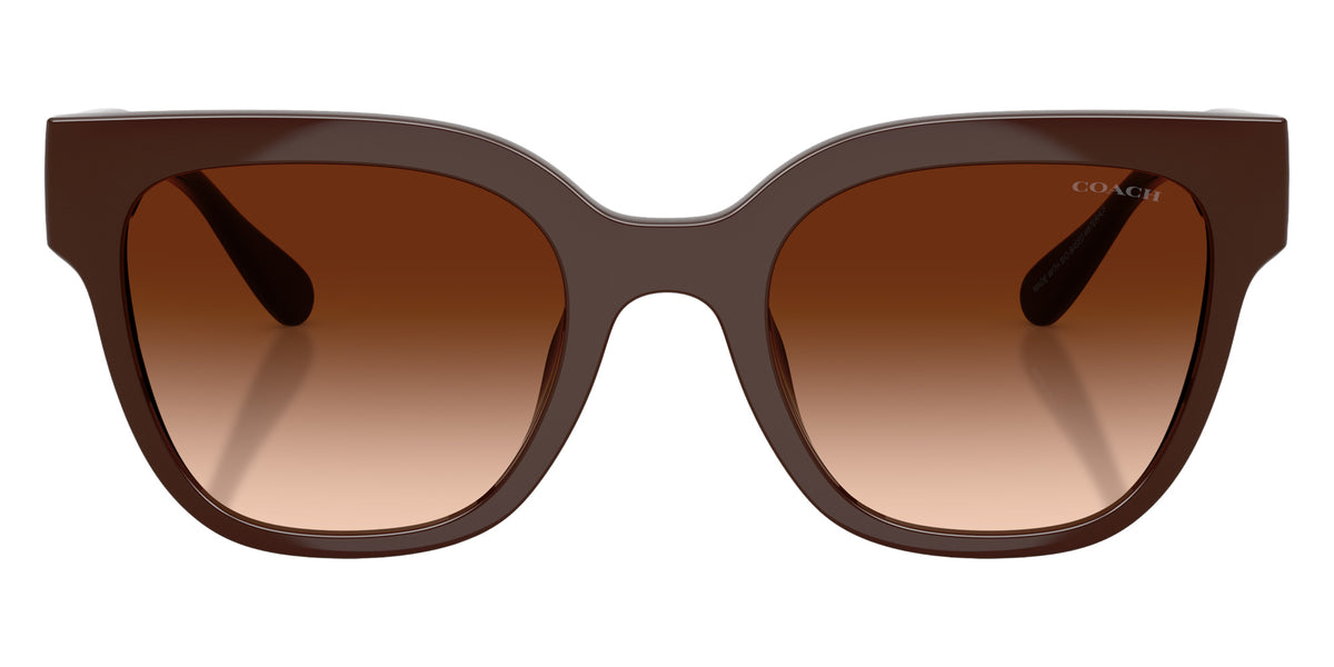 Coach HC8460U CFT88 595774 51 - Pecan / Brown Gradient #id:hc8460u595774_s:104100