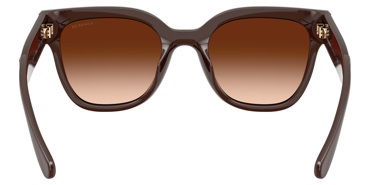 Coach HC8460U CFT88 595774 51 - Pecan / Brown Gradient #id:hc8460u595774_s:104115