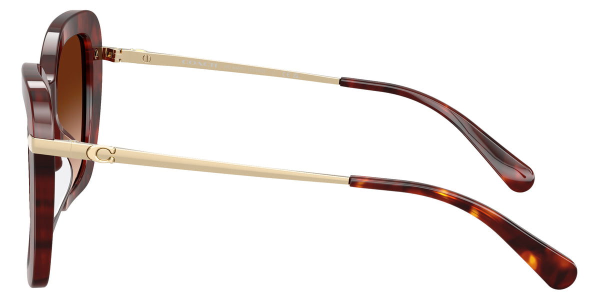 Coach HC8461U CFU03 593874 54 - Walnut Tortoise / Brown Gradient #id:hc8461u593874_s:102110