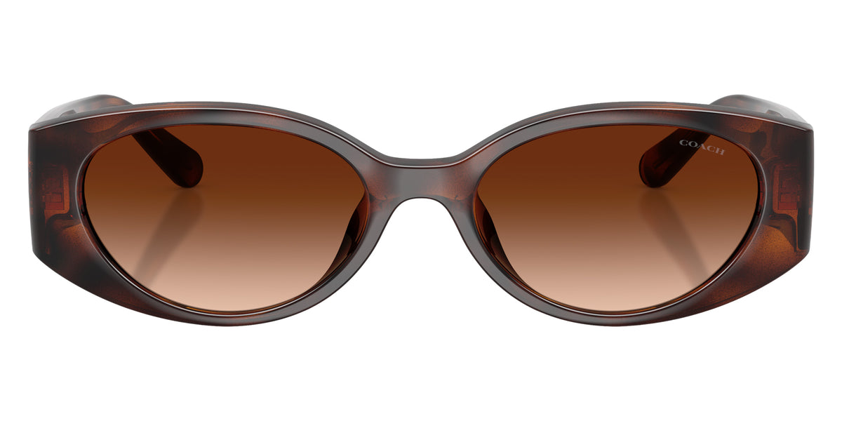 Coach HC8462U CFU06 512074 54 - Dark Tortoise / Brown Gradient #id:hc8462u512074_s:102100