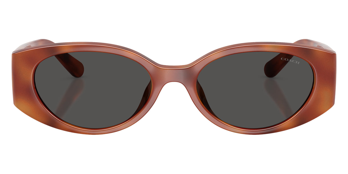Coach HC8462U CFU06 577487 54 - Caramel Tortoise / Gray Solid #id:hc8462u577487_s:106100