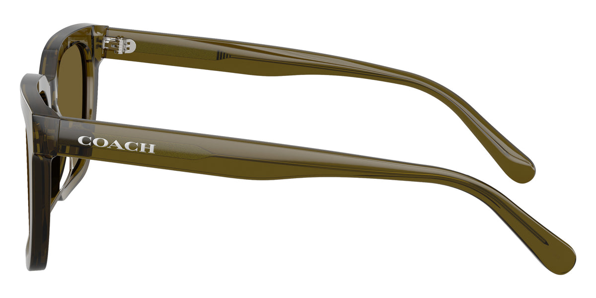 Coach HC8466U CFU12 591073 56 - Transparent Olive / Olive Solid #id:hc8466u591073_s:102110