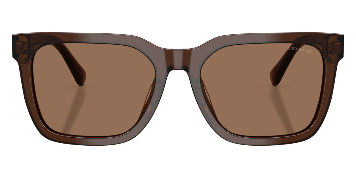 Coach HC8466U CFU12 597373 56 - Transparent Brown / Brown Solid #id:hc8466u597373_s:106100