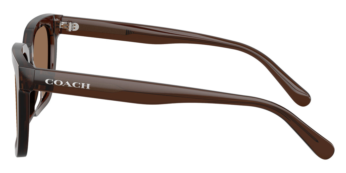 Coach HC8466U CFU12 597373 56 - Transparent Brown / Brown Solid #id:hc8466u597373_s:106110