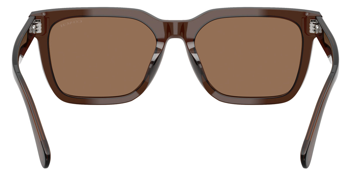 Coach HC8466U CFU12 597373 56 - Transparent Brown / Brown Solid #id:hc8466u597373_s:106115