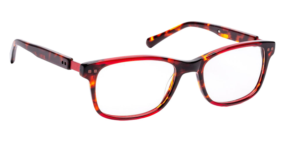 J.F. Rey PARK 3595 50 - Tortoiseshell Burgundy/G #id:jfrpark3595_s:102100