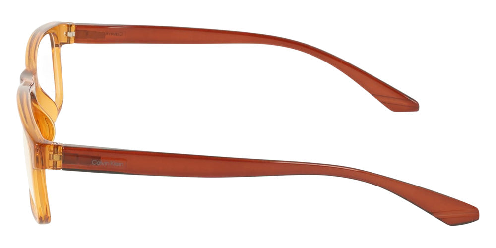 Calvin Klein CK19569N 201 55 - Transparent Light Brown #id:kcck19569n201_s:102110