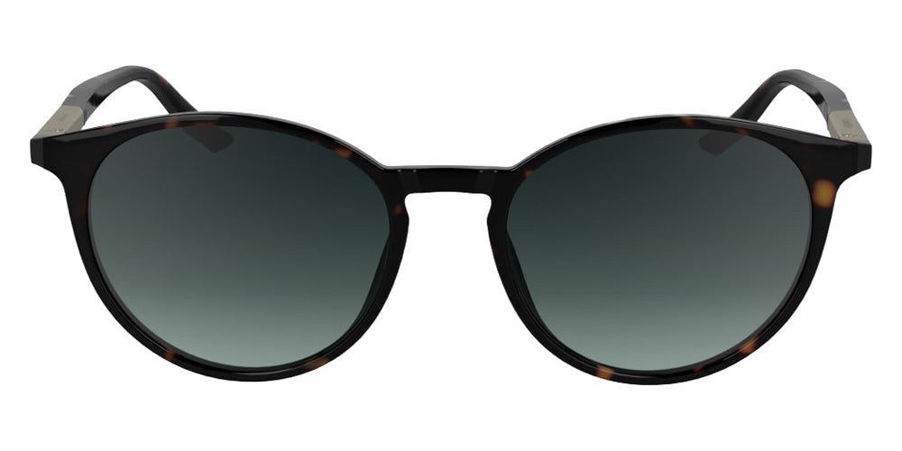 Calvin Klein CK24539S 235 53 - Dark Havana #id:kcck24539s235_s:100100