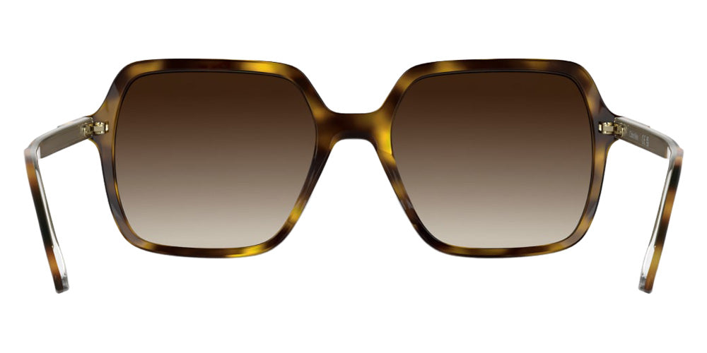 Calvin Klein CK26531S 240 55 - Havana #id:kcck26531s240_s:102120