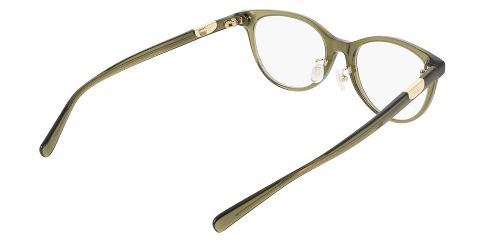 Longchamp LO2780LBJ 319 50 - Transparent Khaki #id:lclo2780lbj319_s:106125