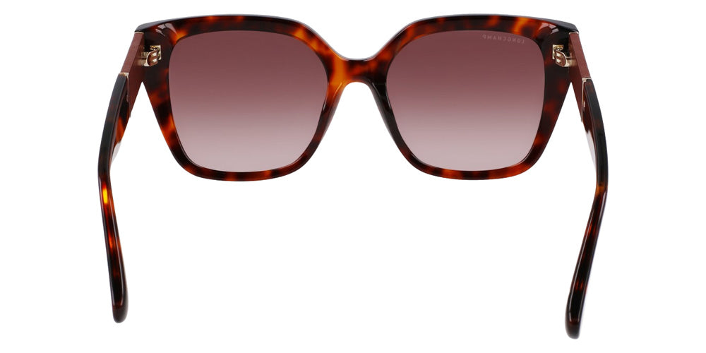 Longchamp LO754SL 242 54 - Dark Havana #id:lclo754sl242_s:100120