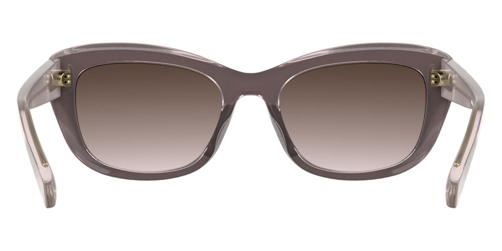 Longchamp LO817S 623 53 - Burgundy/Transparent Rose #id:lclo817s623_s:104120