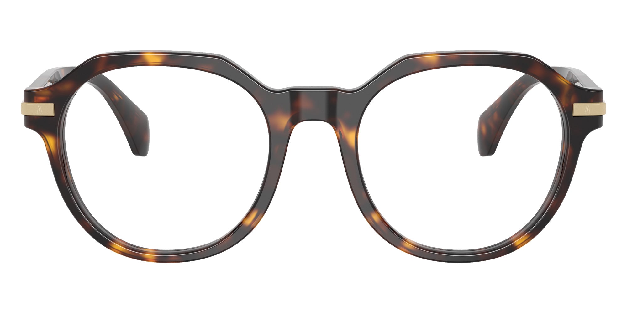 Moncler ME2014 3002 50 - Shiny Havana #id:me20143002_s:104100