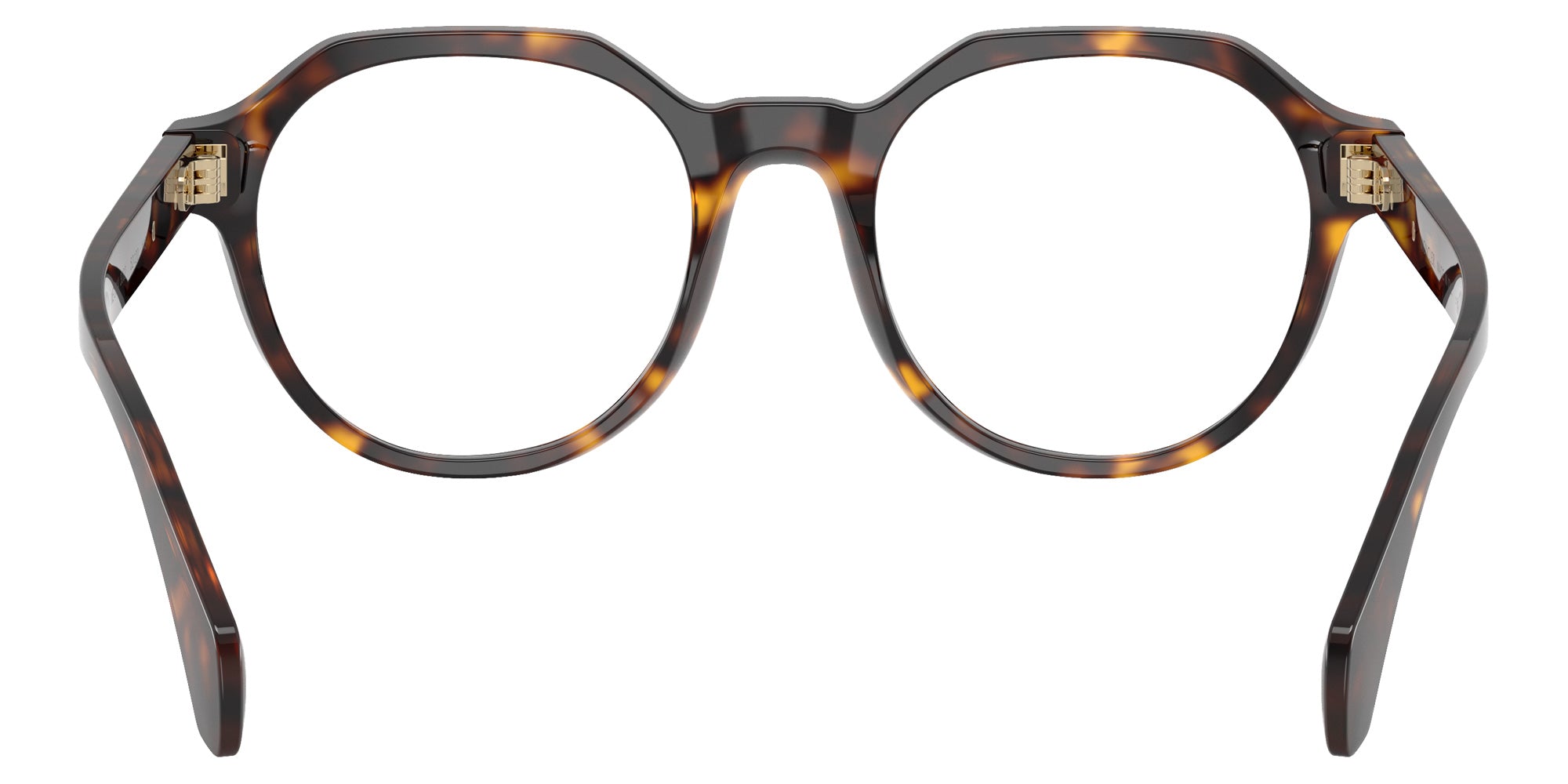 Moncler ME2014 3002 50 - Shiny Havana #id:me20143002_s:104115