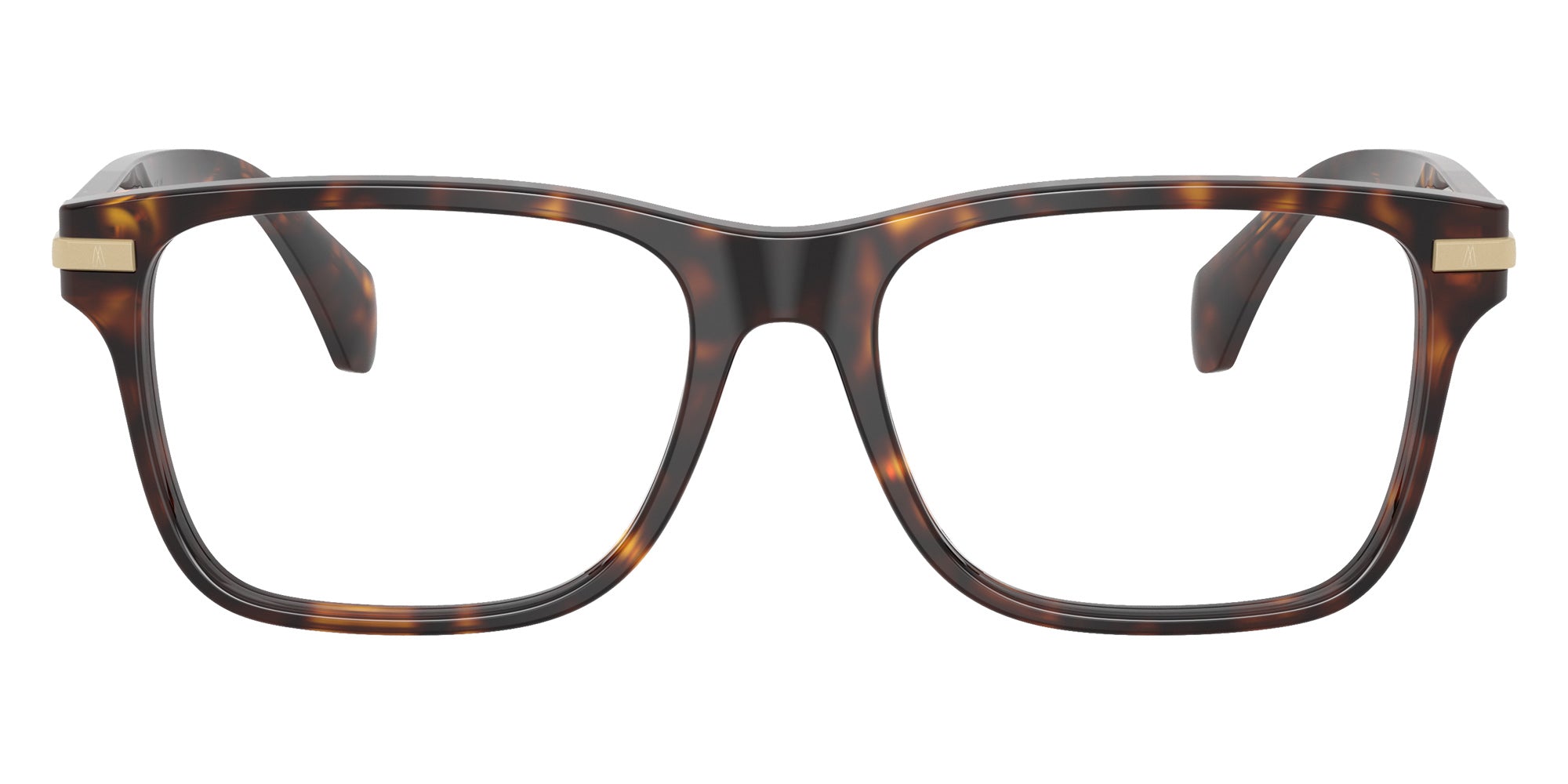 Moncler ME2016F 3002 53 - Shiny Havana #id:me2016f3002_s:100100