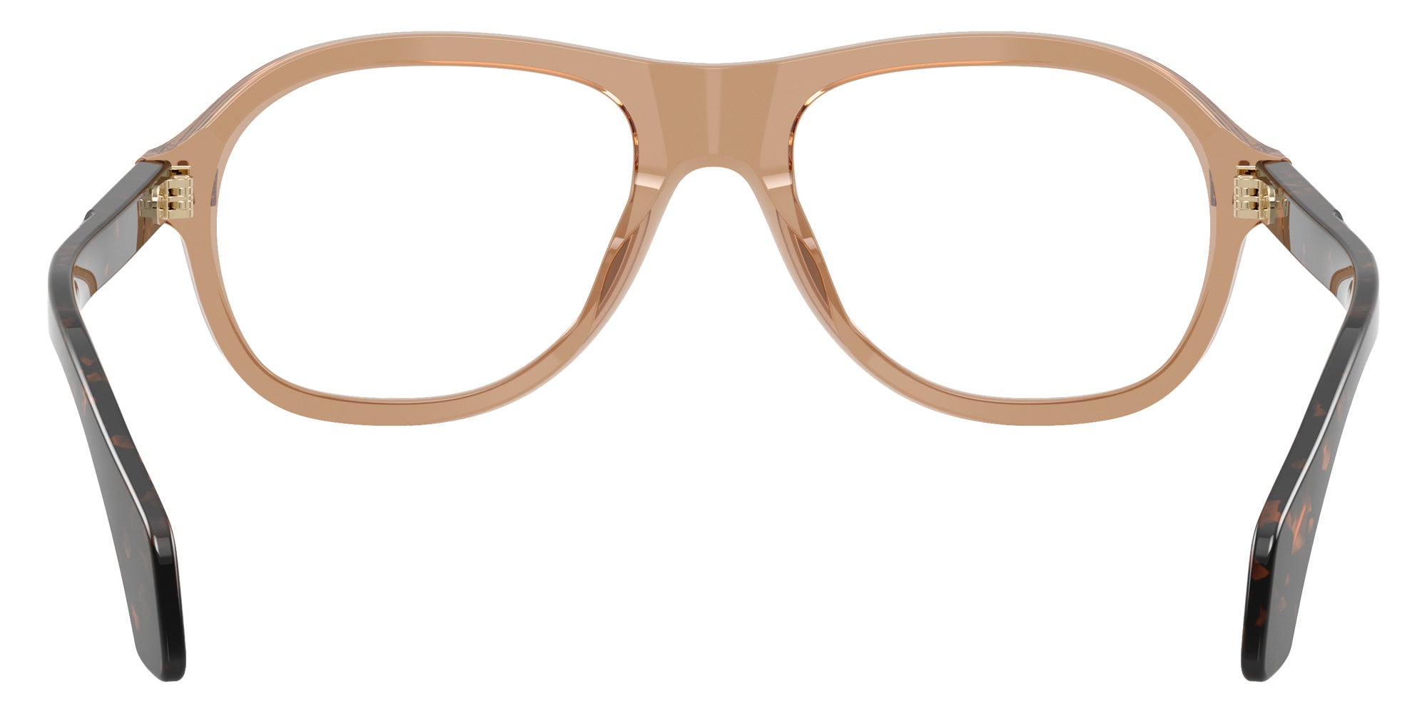 Moncler ME2025U 3037 53 - Shiny Transparent Brown #id:me2025u3037_s:116115