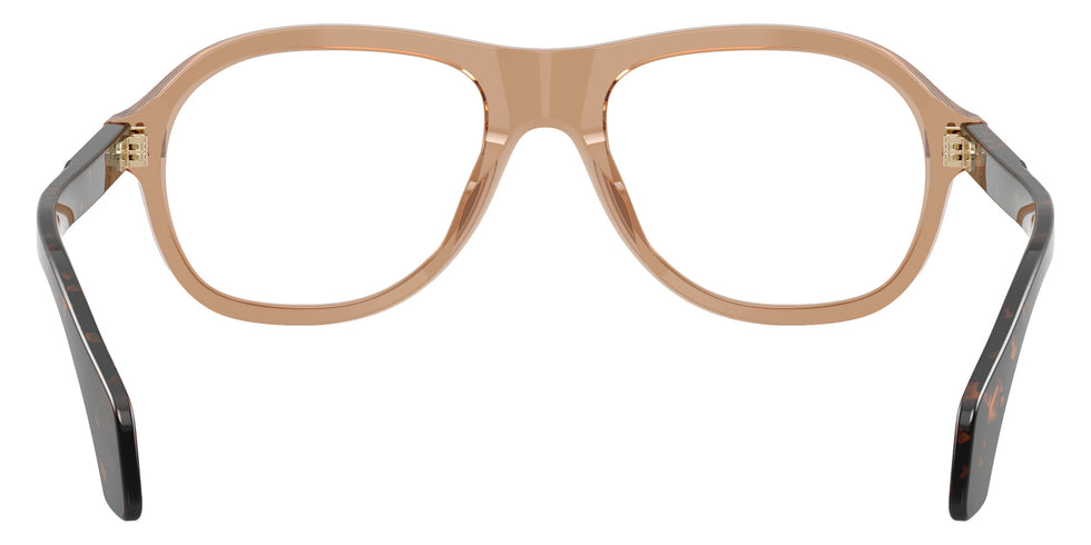 Moncler ME2025U 3037 53 - Shiny Transparent Brown #id:me2025u3037_s:116115
