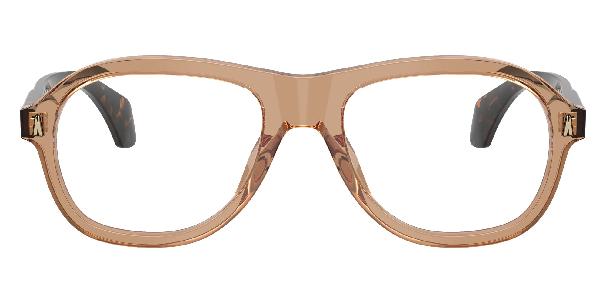 Moncler ME2025U 3037 53 - Shiny Transparent Brown #id:me2025u3037_s:116100