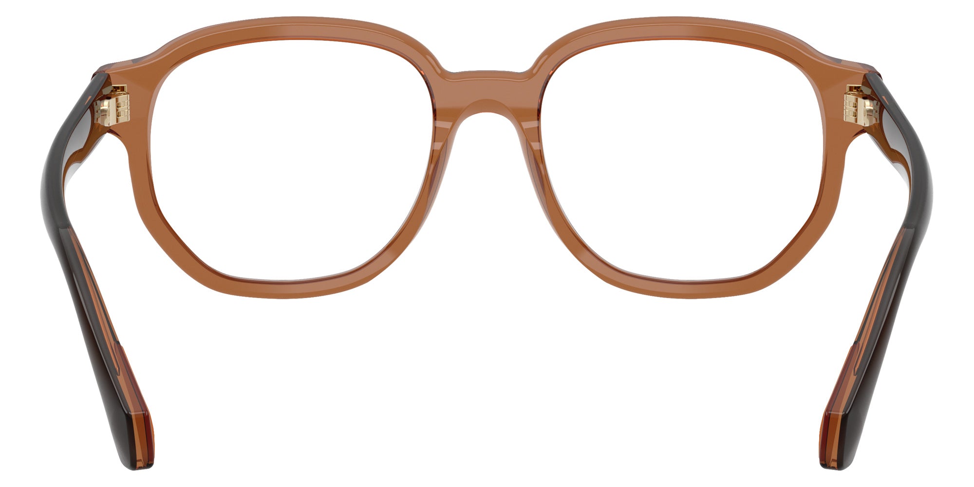 Moncler ME2027F 3017 55 - Transparent Cognac #id:me2027f3017_s:102115