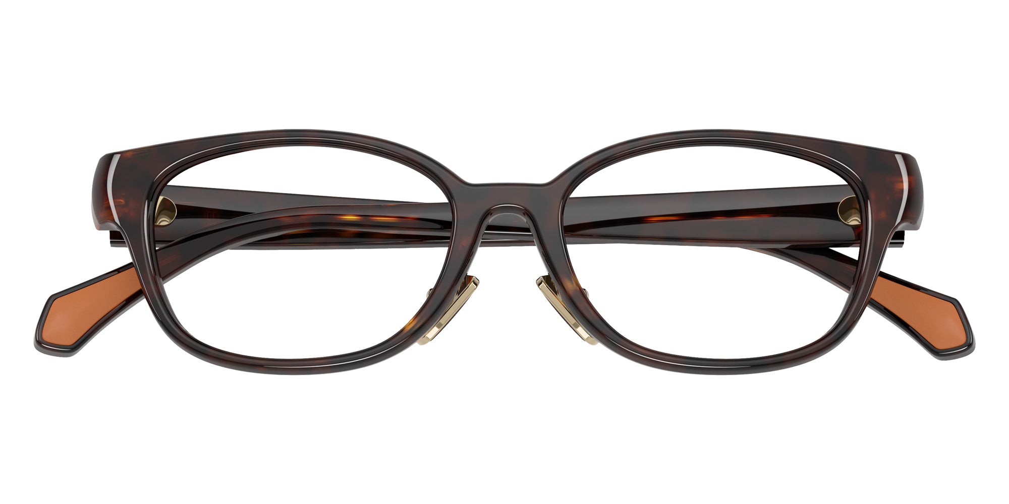 Moncler ME2029D 3002 50 - Shiny Havana #id:me2029d3002_s:102120