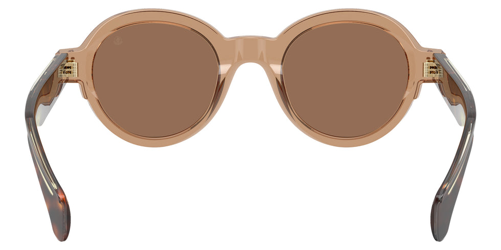 Moncler ME6003 Rondosa 303773 47 - Shiny Transparent Brown #id:me6003303773_s:102115