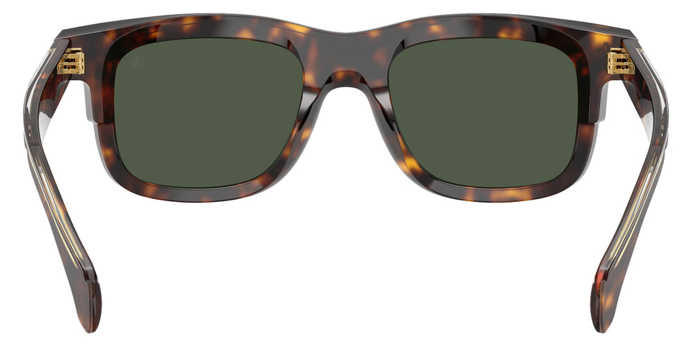 Moncler ME6004 Claro 30029A 51 - Brown Tortoise / Green Polarized #id:me600430029a_s:102115