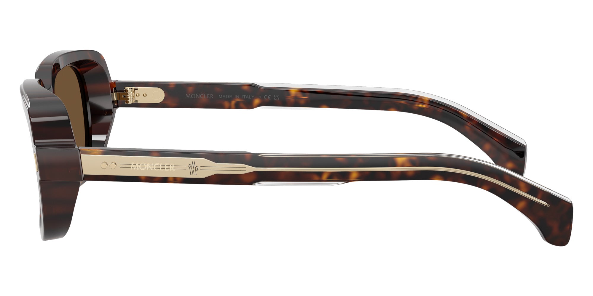 Moncler ME6008F SUNTRAP 300273 55 - Shiny Dark Havana / Brown Solid #id:me6008f300273_s:100110