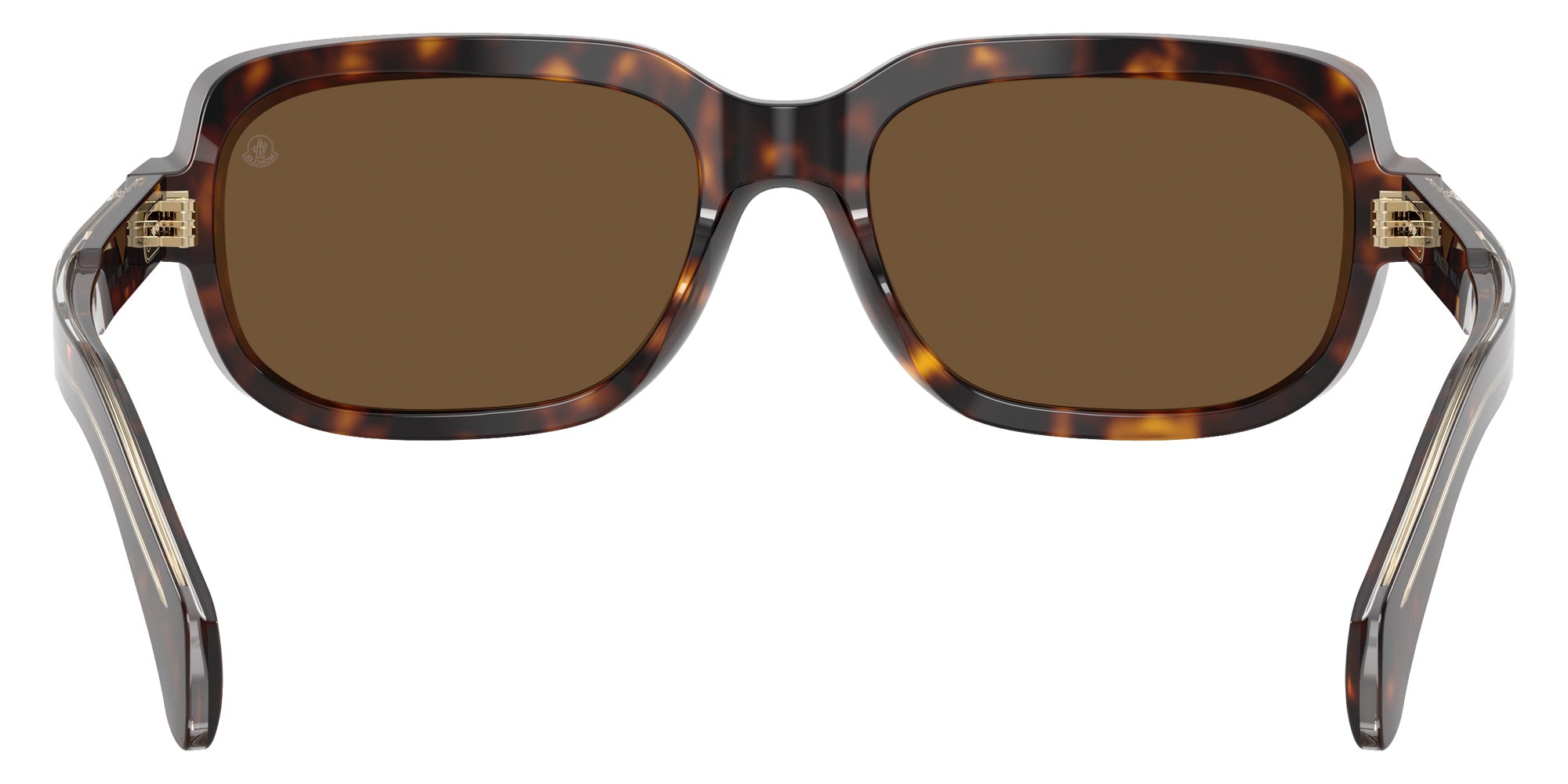 Moncler ME6008F SUNTRAP 300273 55 - Shiny Dark Havana / Brown Solid #id:me6008f300273_s:100115